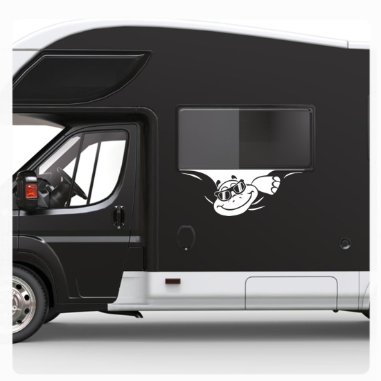 Schildkröte Sticker Aufkleber Autoaufkleber Cool Sonnenbrille Wohnmobil Aufkleber WoMo107